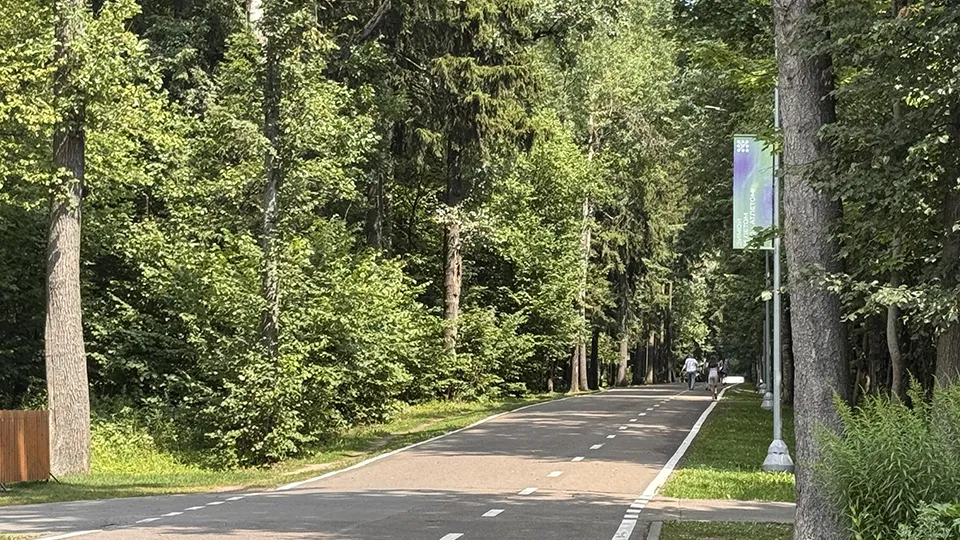 Фото: REGIONS/Мария Шматкова