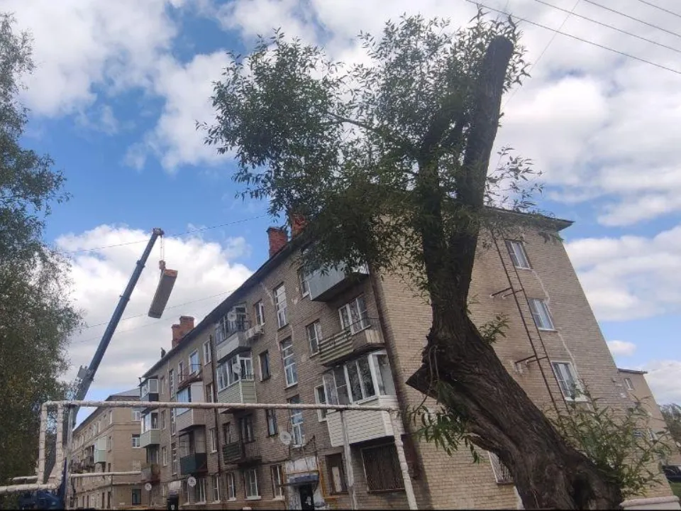 Фото: администрация м.о. Шатура