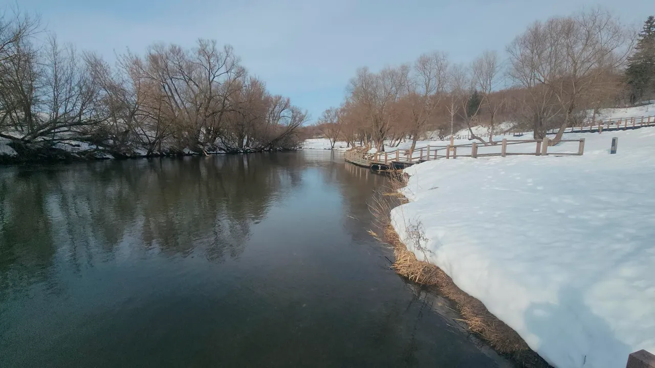 Маргарита Орлова