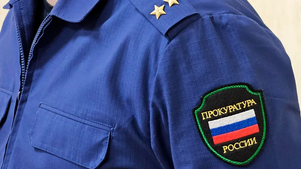 Фото: МедиаБанк Подмосковья/Вероника Горбачева