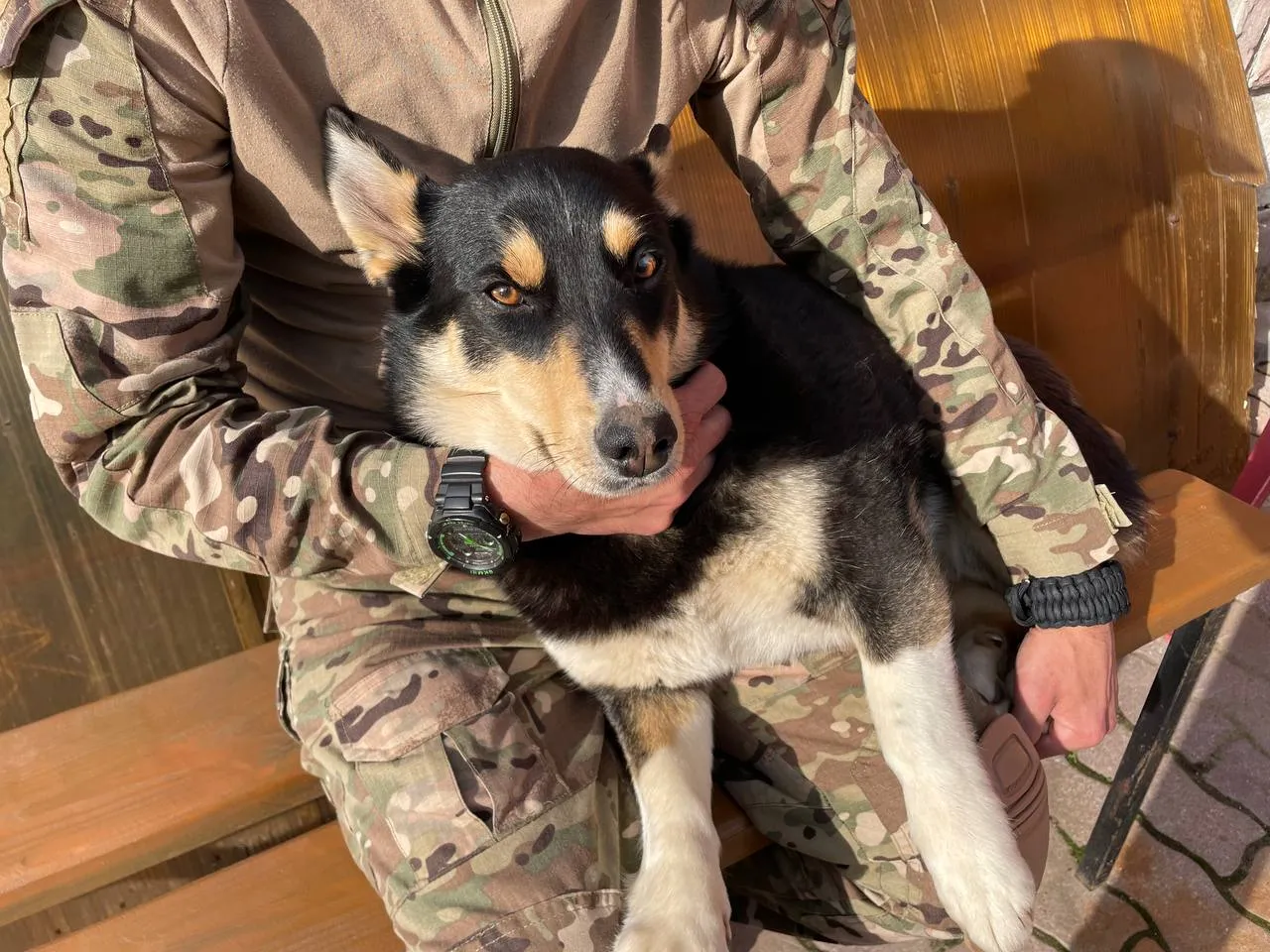 Фото: REGIONS/Анастасия Шухарева