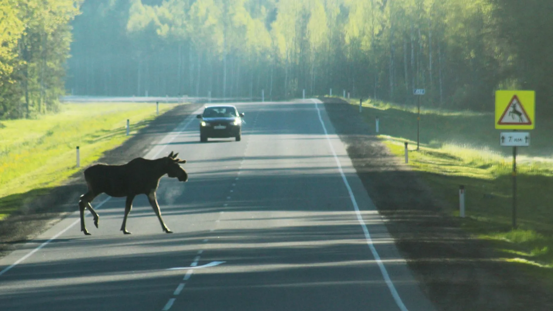 Фото: соцсети