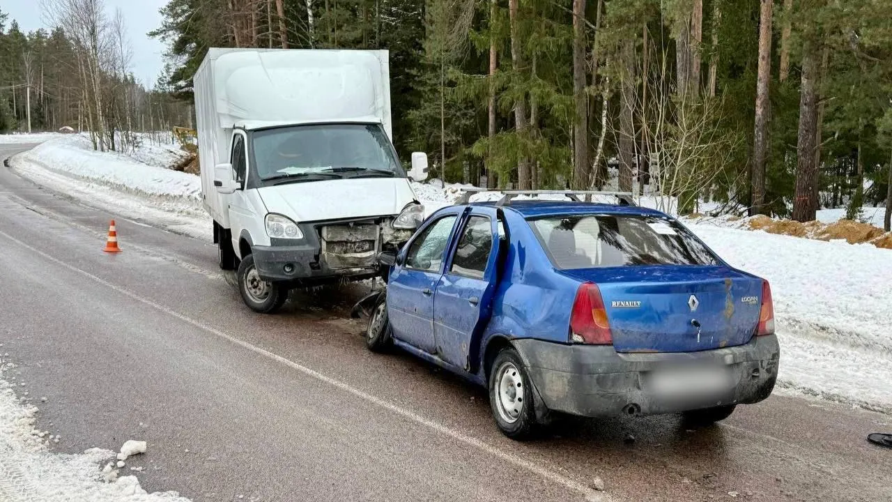 С начала года в Подмосковье зафиксировали 370 ДТП с пострадавшими
