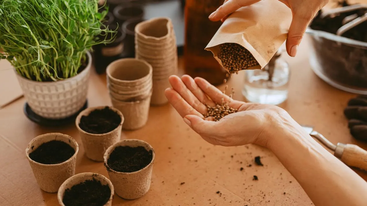 istockphoto.com/knape