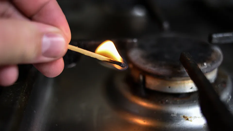 Фото: Медиаархив Подмосковья