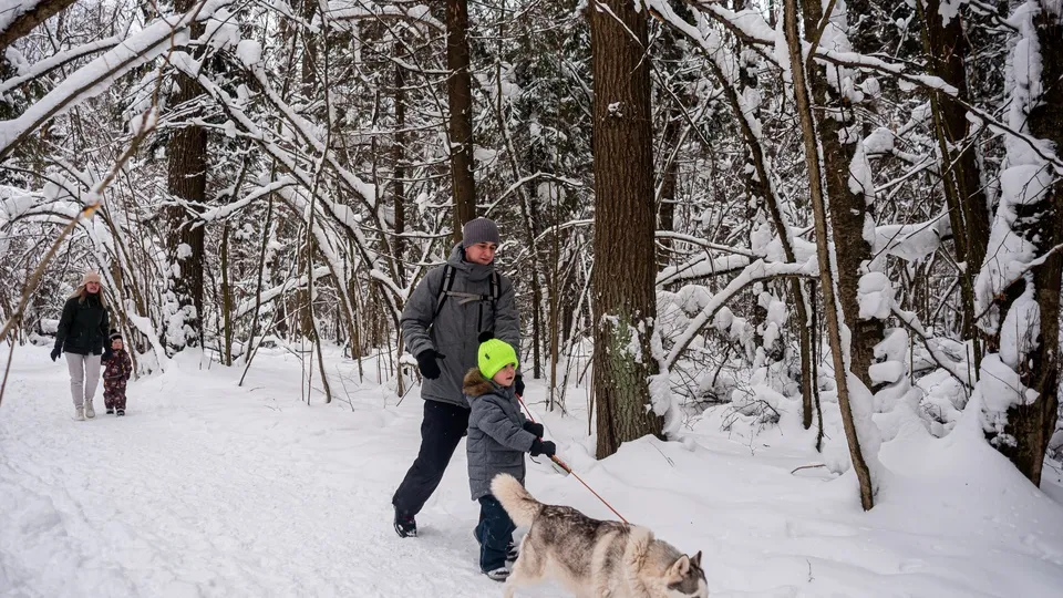 Фото: медиасток.рф
