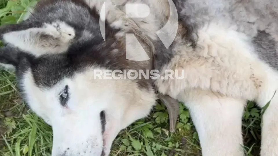 Фото: личный архив Ангелины Дубровой