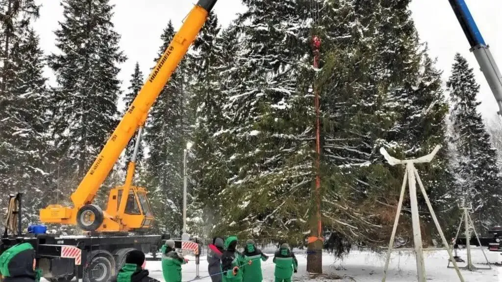 Фото: пресс-служба Комитета лесного хозяйства Московской области