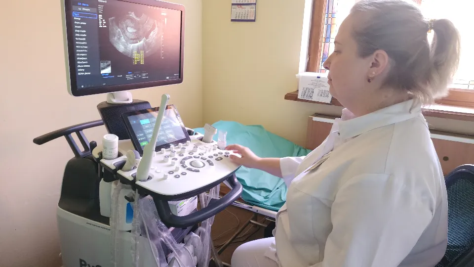 Фото: МедиаБанк Подмосковья/Светлана Борщева