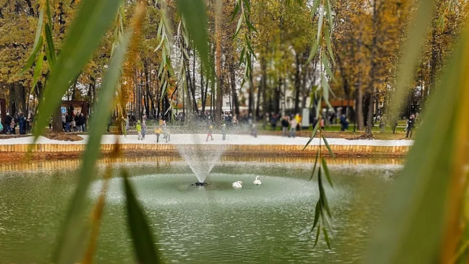 Фото: REGIONS/Алексей Селиверстов