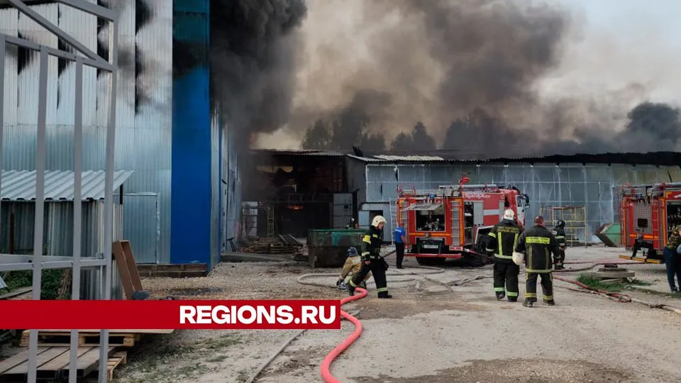 Фото: Михаил Мартыненко