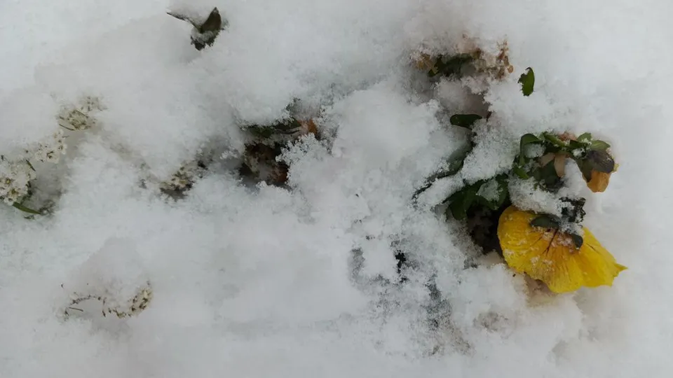 Фото: REGIONS/Екатерина Сарычева