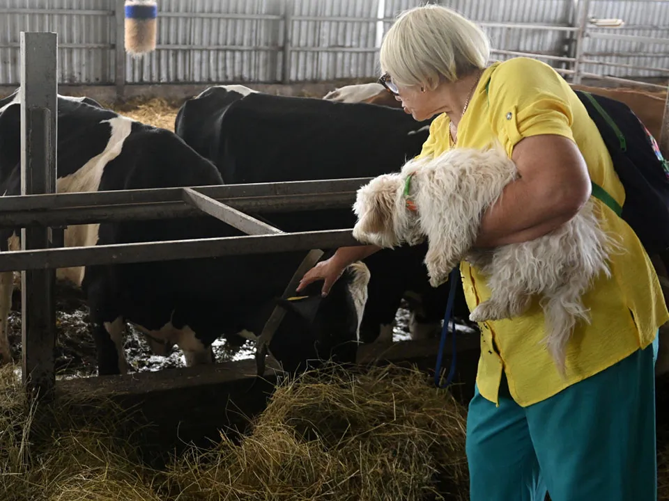 Фото:&nbsp;РИА Новости/Кирилл Калинников