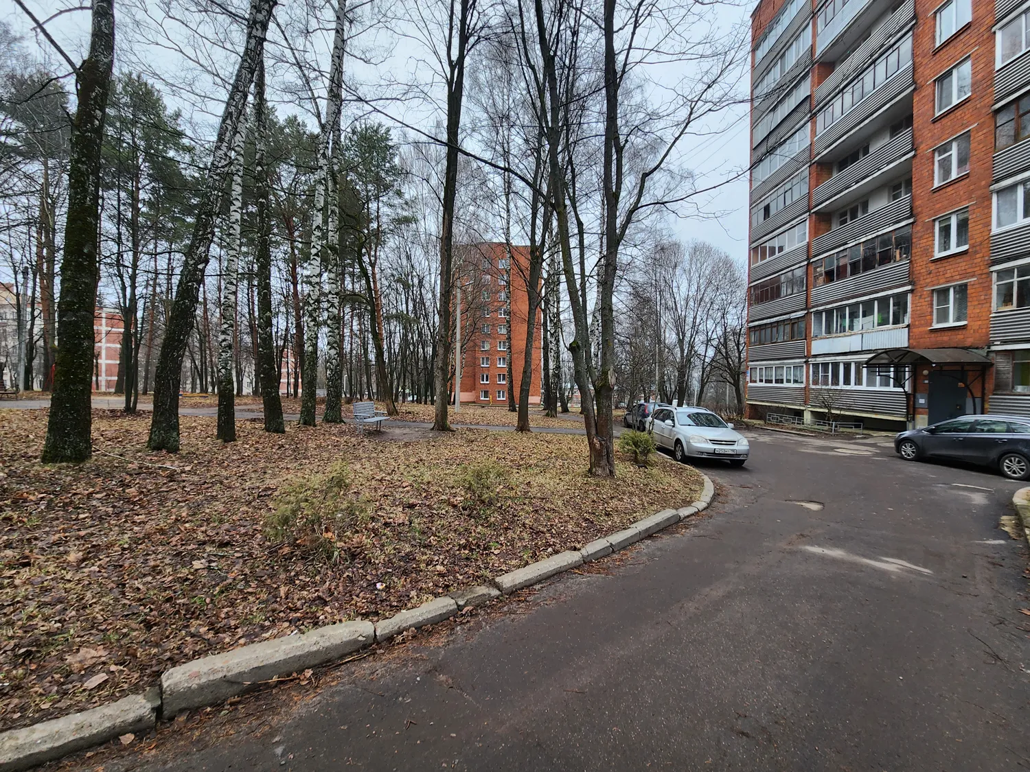 Фото: МедиаБанк Подмосковья/Мария Панина