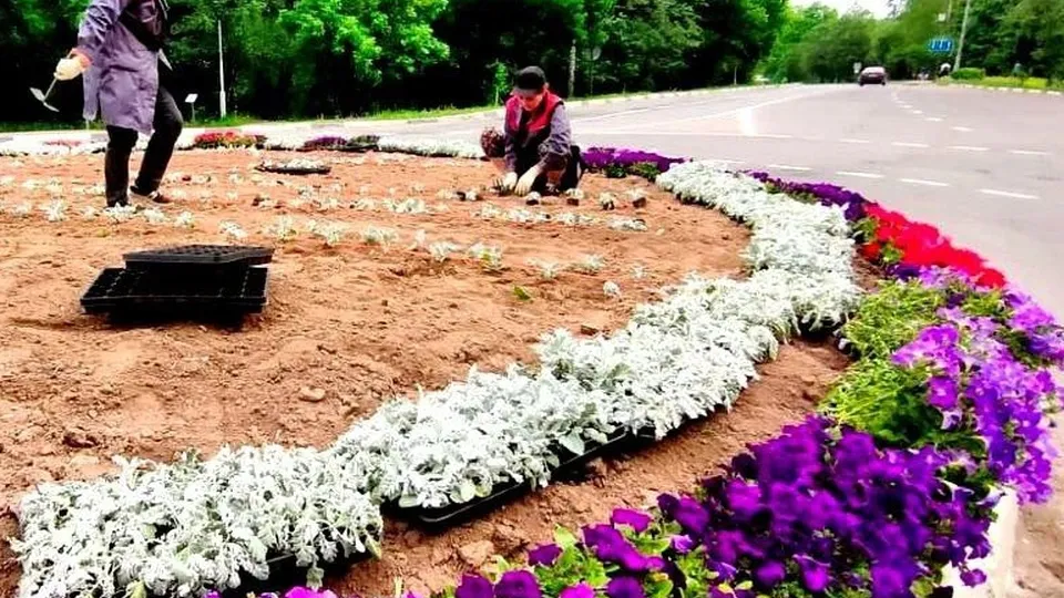 Фото: t.me/mbukhb