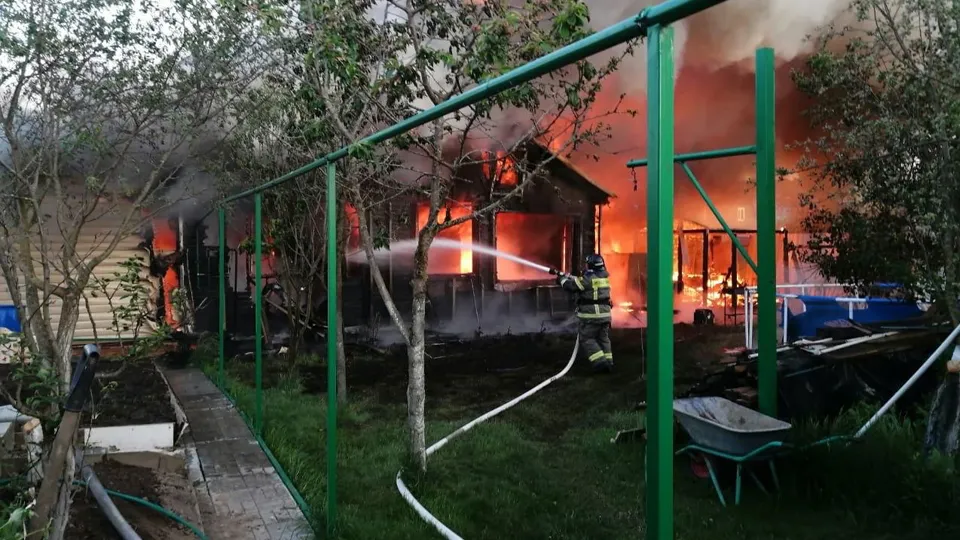 Фото: пресс-служба правительства и губернатора Московской области