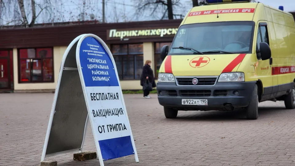 Фото: МедиаБанк Подмосковья/Ксения Пашуто