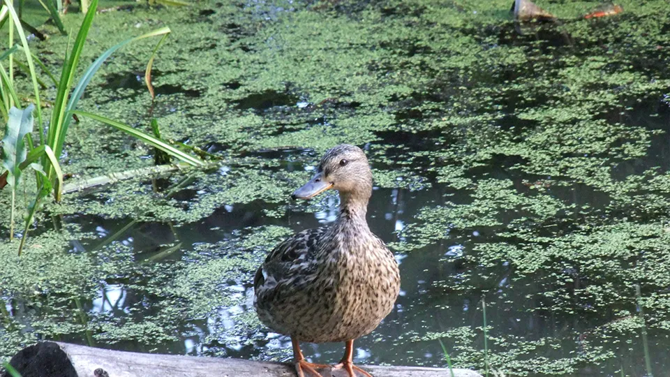 Фото: REGIONS/Елизавета Мелентьева