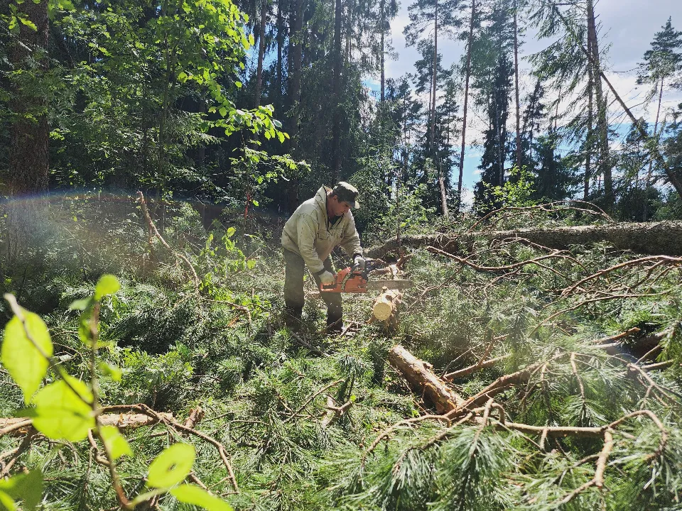 Фото: МедиаБанк Подмосковья/Юлия Андросова