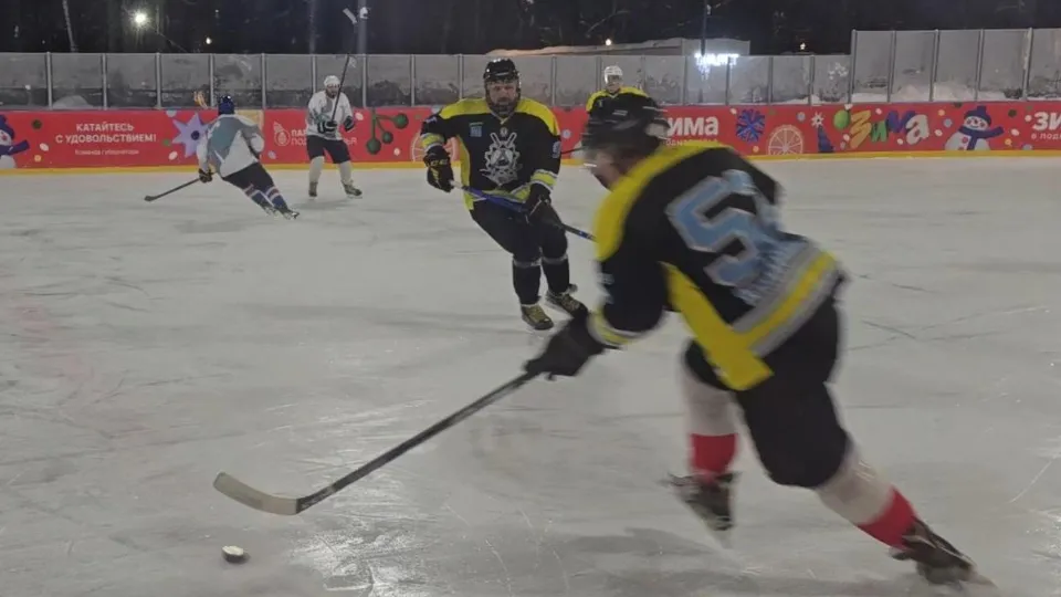 Фото: МедиаБанк Подмосковья/Марина Анисимова