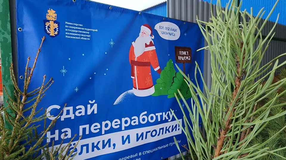 Фото: пресс-служба администрации г.о. Коломна