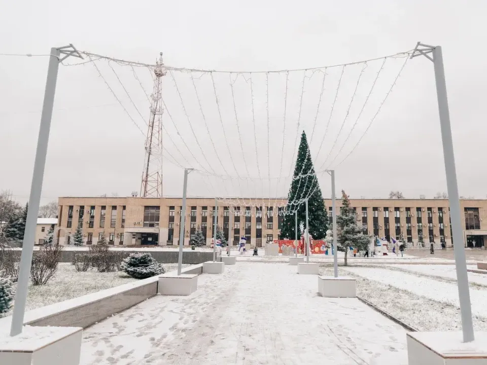 Фото: пресс-служба администрации г.о. Домодедово