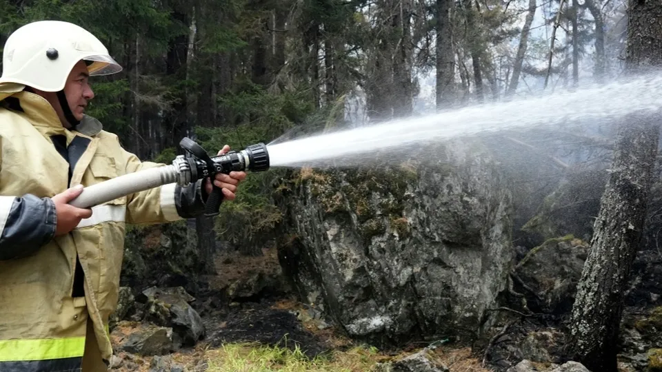 Фото: riamediabank/Денис Абрамов