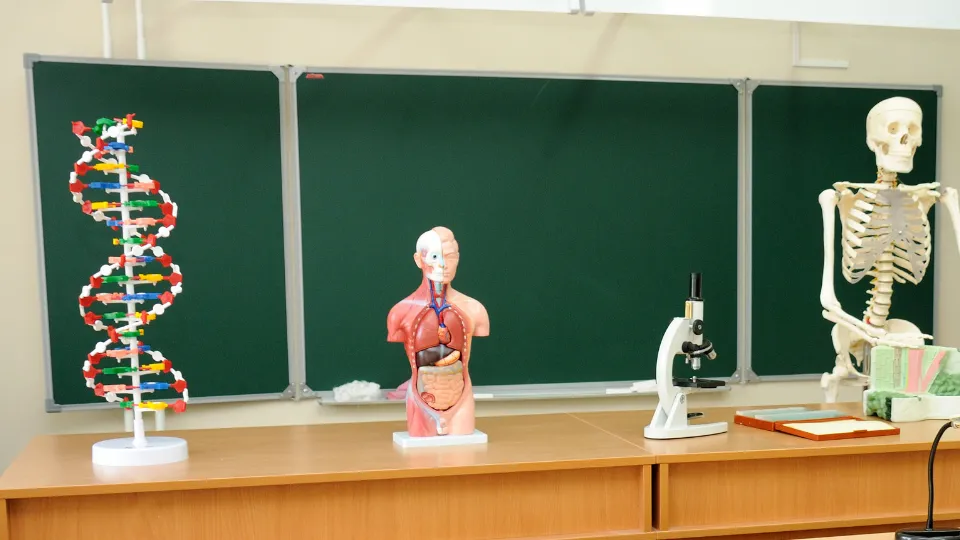 Фото: медиасток.рф