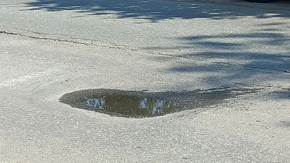 Фото: Олег Книжник