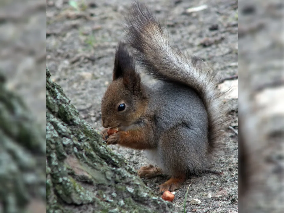 Фото: Владимир Дубровин