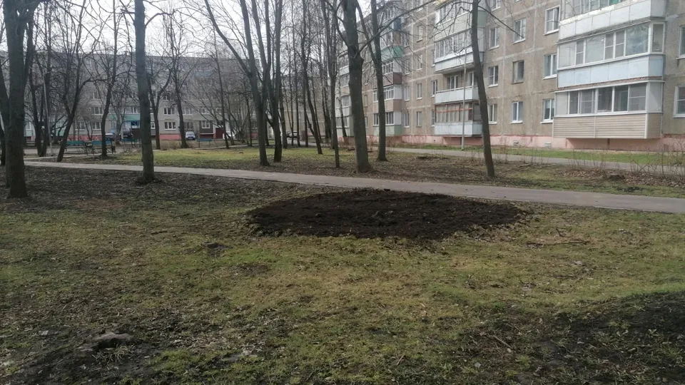 Фото: пресс-служба администрации г.о. Серебряные Пруды