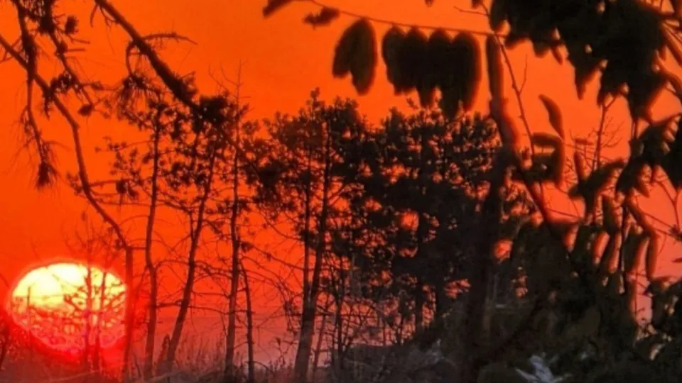 Фото: REGIONS/Анастасия Широкая