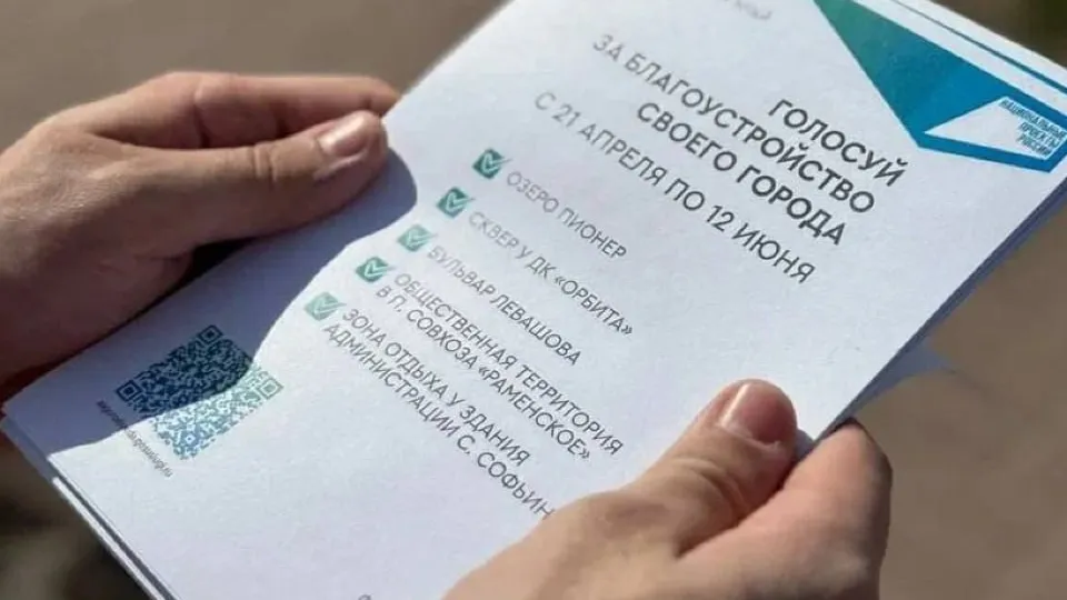 Фото: пресс-служба волонтерского движения Московской области