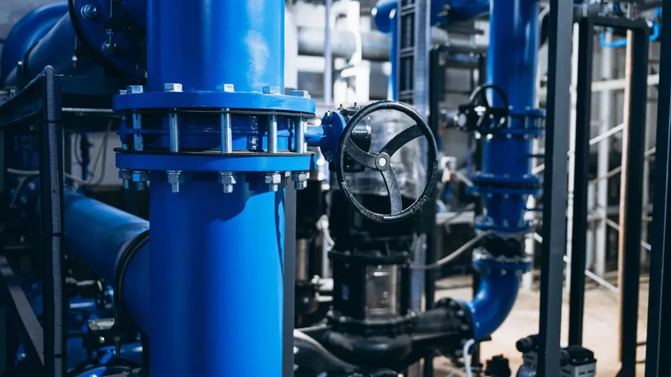 Фото: пресс-служба администрации г.о. Щелково