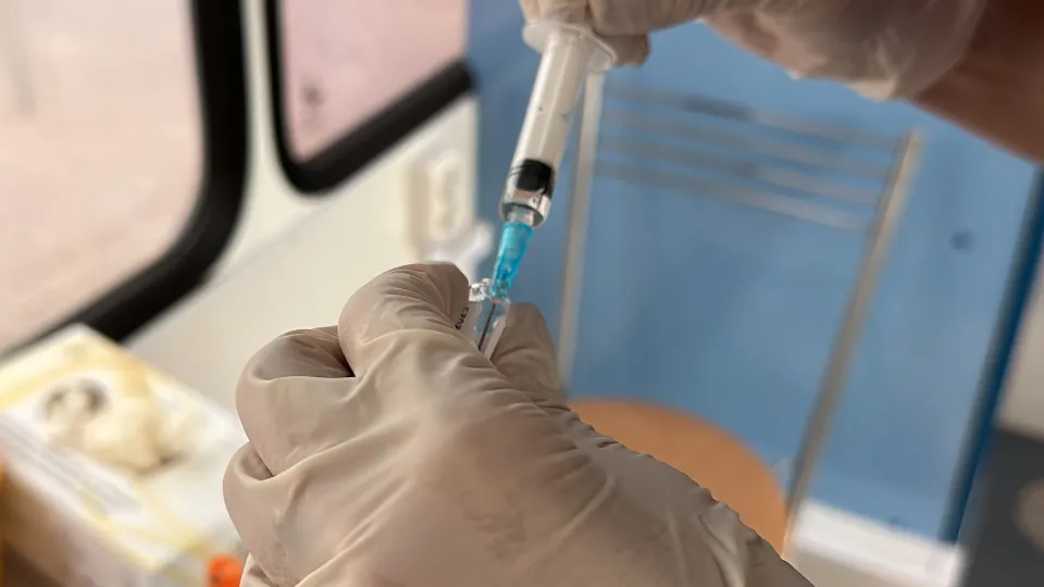 Фото: МедиаБанк Подмосковья/Данила Кирьянов