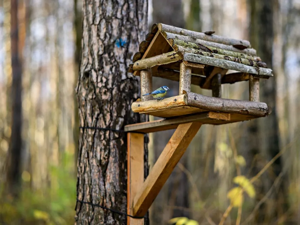 Фото: медиасток.рф