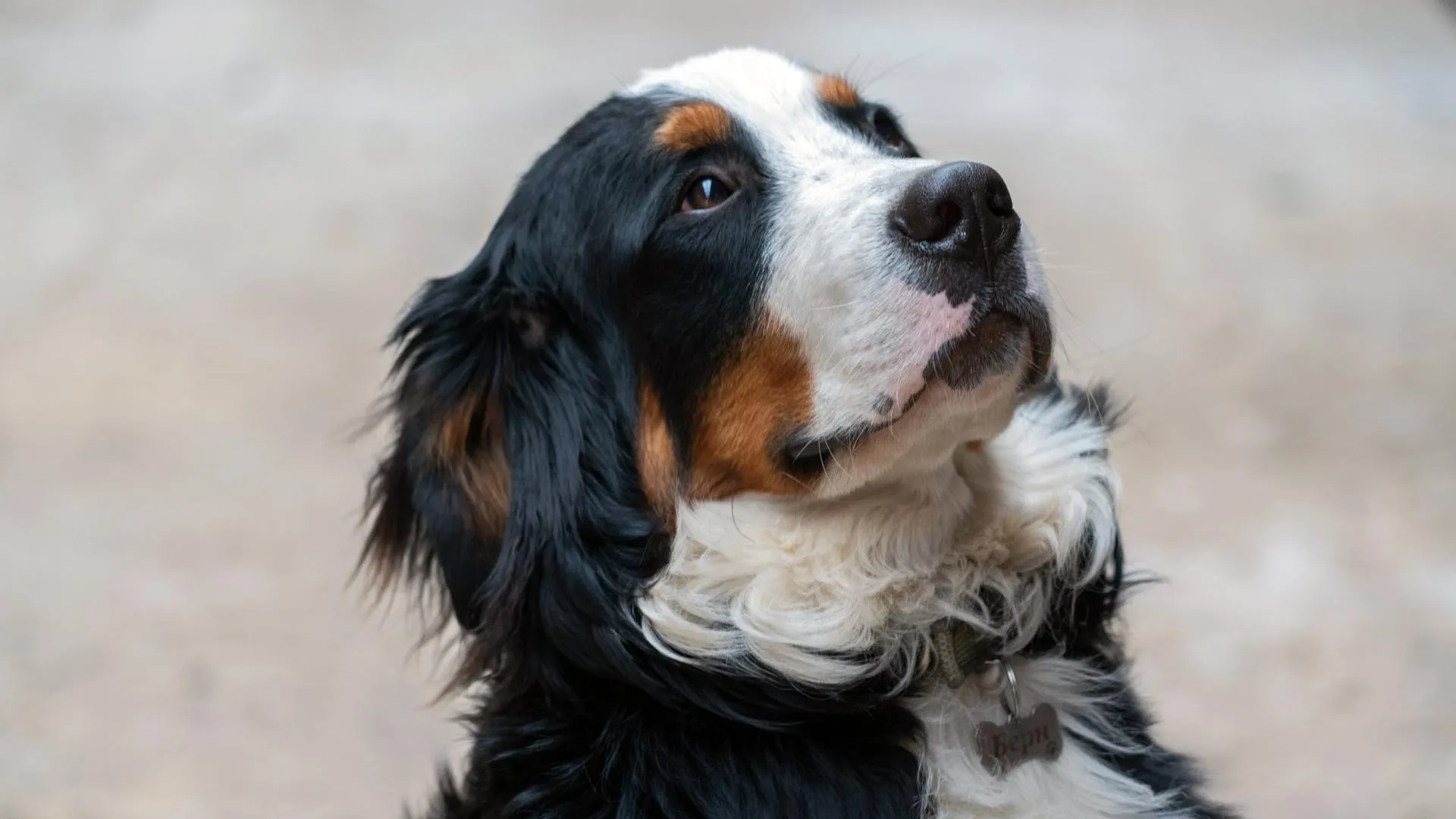 медиасток.рф