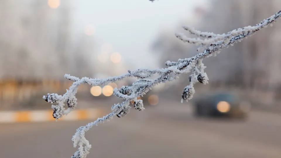 Фото: медиасток.рф