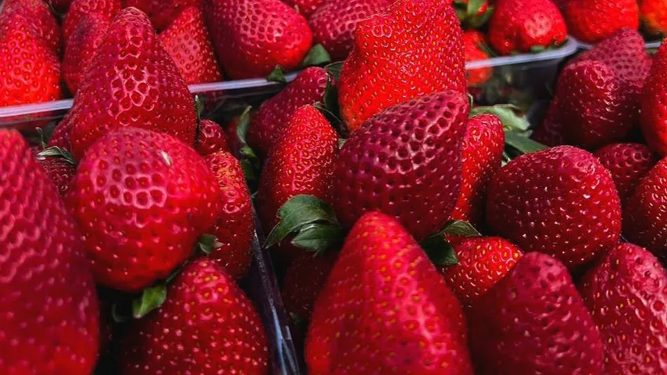 Фото: Минсельхозпрод МО