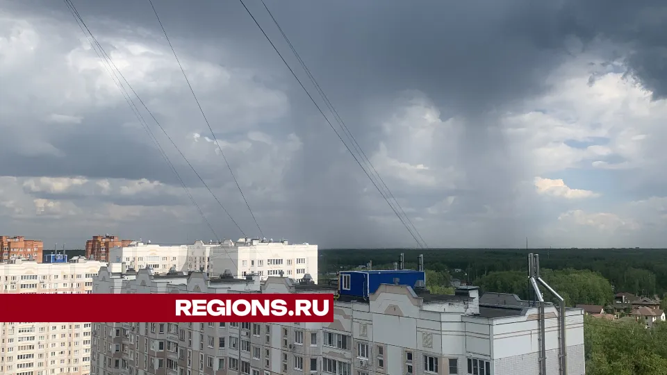 Фото: Анастасия Завертайло