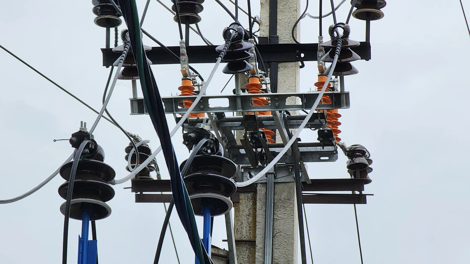 МедиаБанк Подмосковья/Екатерина Данилина