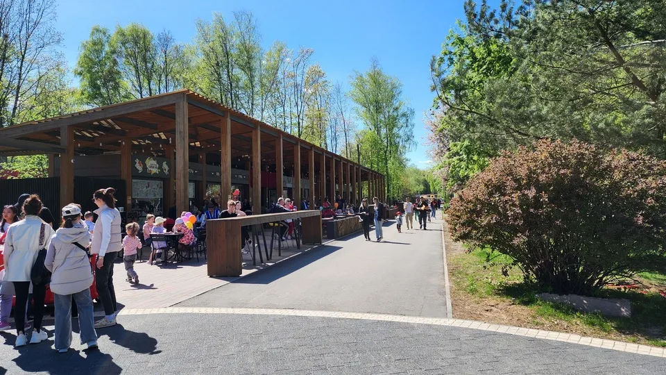 Фото: Медиаархив Подмосковья