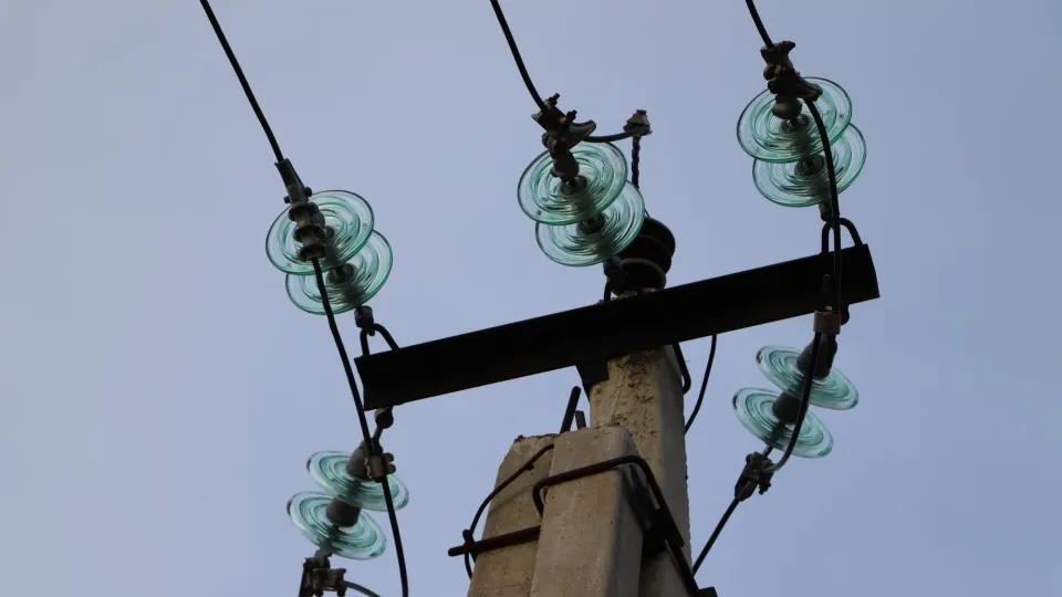 Фото: МедиаБанк Подмосковья/Ирина Калашникова