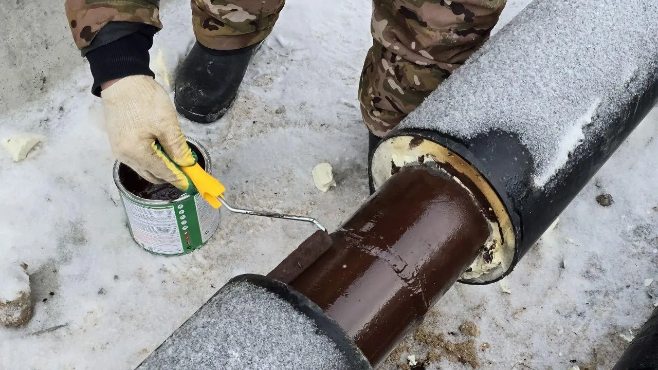 REGIONS/Яна Шаливская