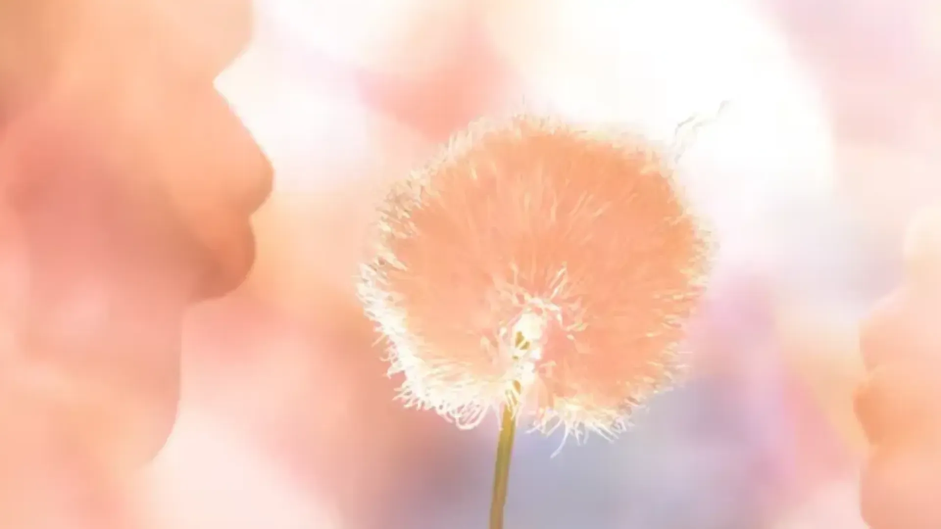 Фото: pantone.com