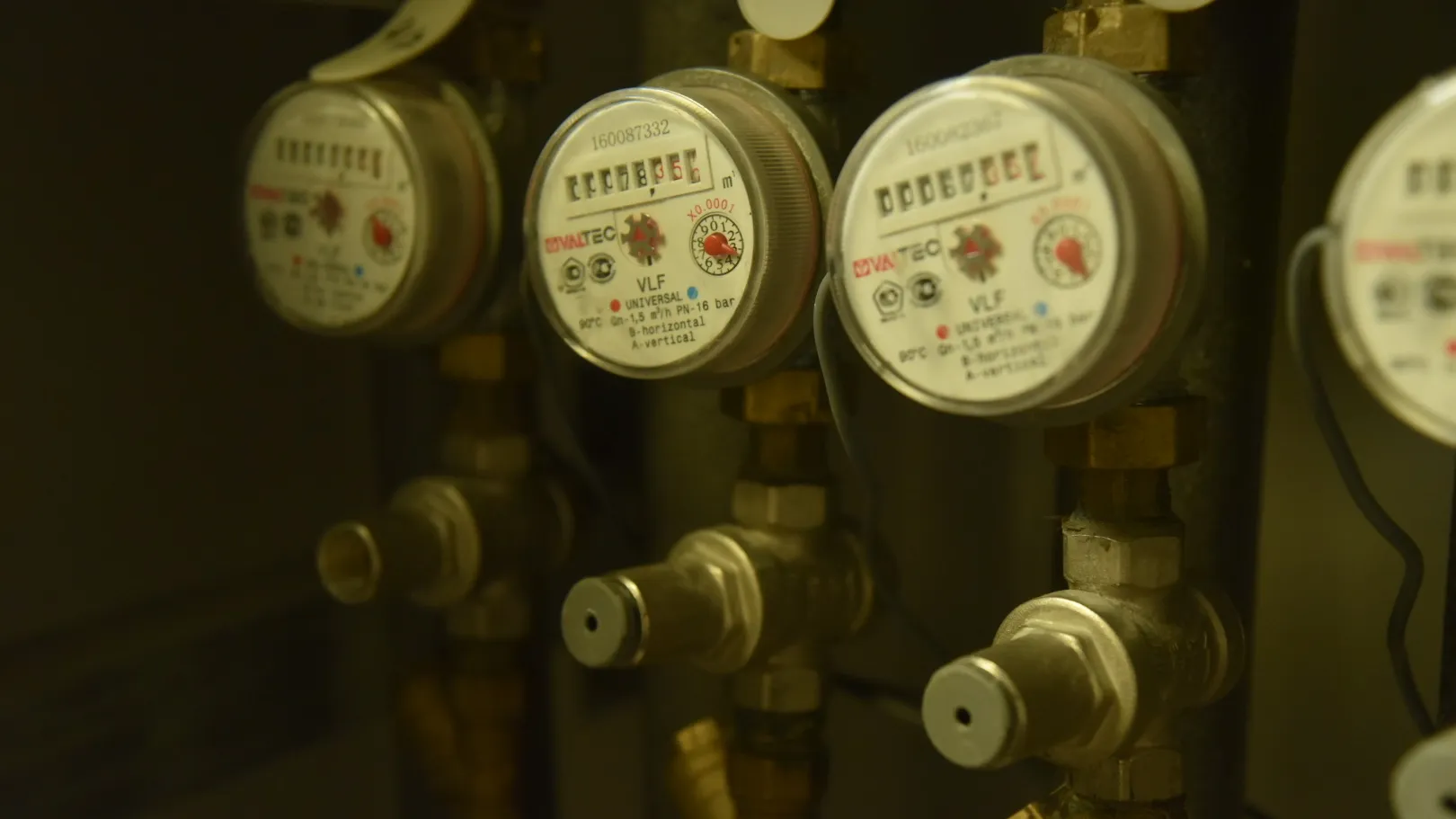 Фото: Дарья Соколова