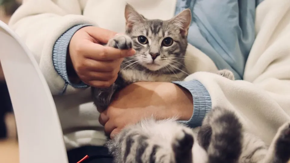 Фото: unsplash.com