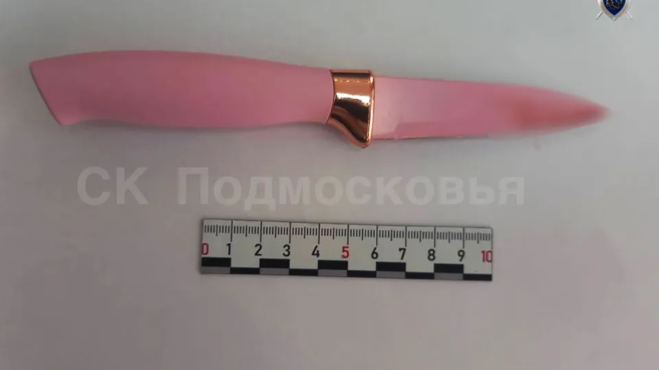 Фото: пресс-служба ГСУ СК России по Московской области