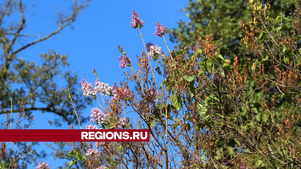 Фото: Марат Алиев