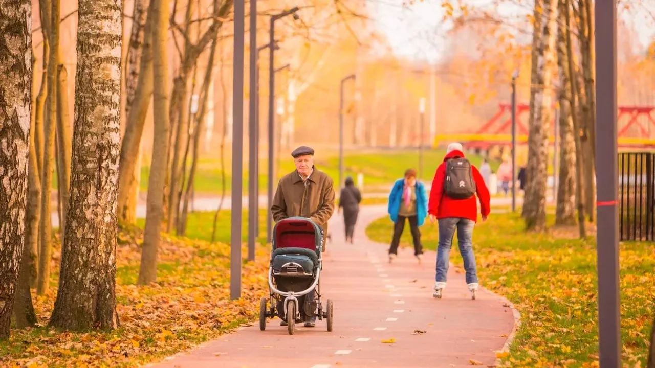 Министерство благоустройства Московской области